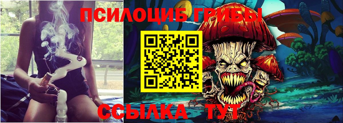 Нягань  Псилоцибиновые грибы MAGIC MUSHROOMS  дарнет шоп  Вход с VPN  Псилоцибиновые грибы Cubensis 